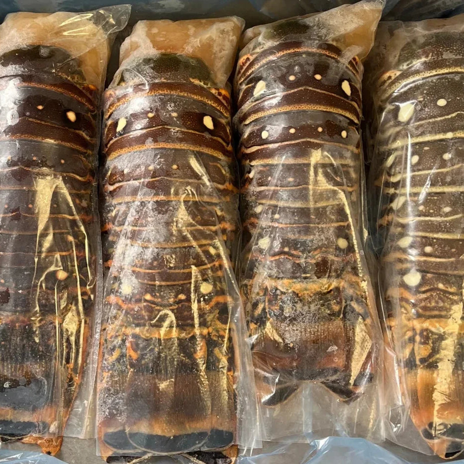 Queue de Langouste de Cuba | plusieurs formats disponibles