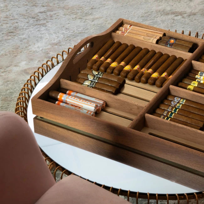 Cigar humidor 